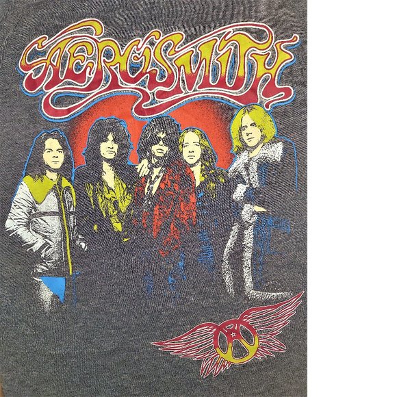 Aerosmith Band Photo Logo metal blues rock Official Plus Size T-Shirt 0X NWT - Picture 2 of 3
